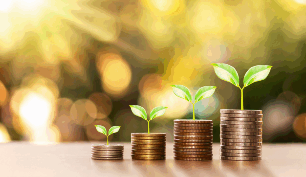 Declutter Your Finances