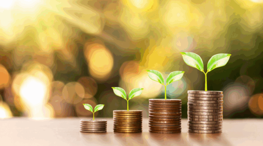 Declutter Your Finances