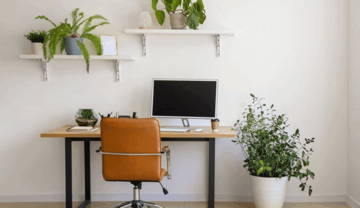 Minimalist Desk Setup