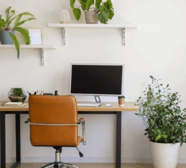 Minimalist Desk Setup