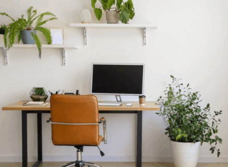 Minimalist Desk Setup