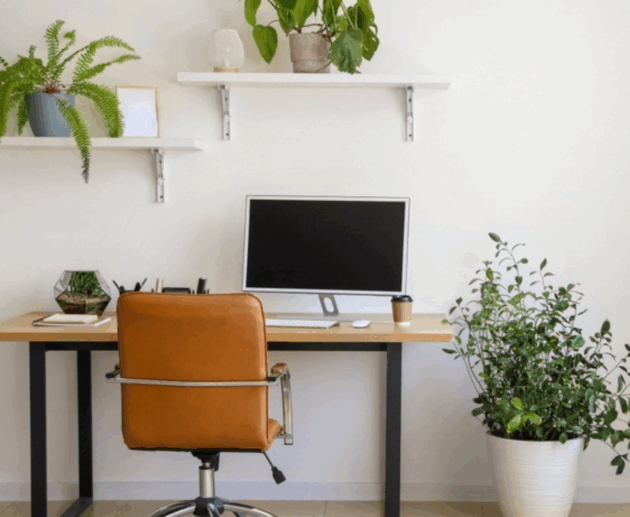Minimalist Desk Setup