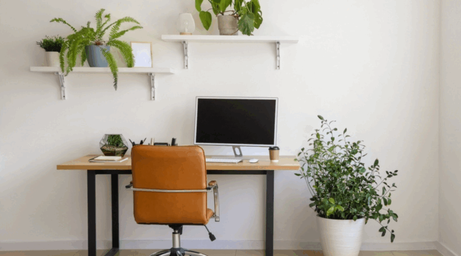Minimalist Desk Setup
