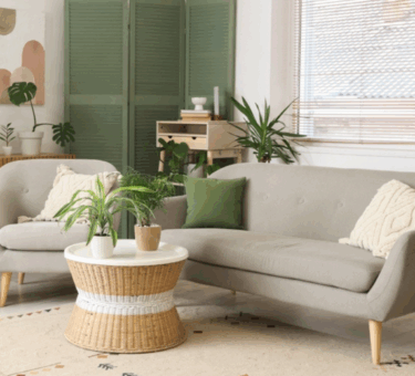 Sustainable-Minimalism